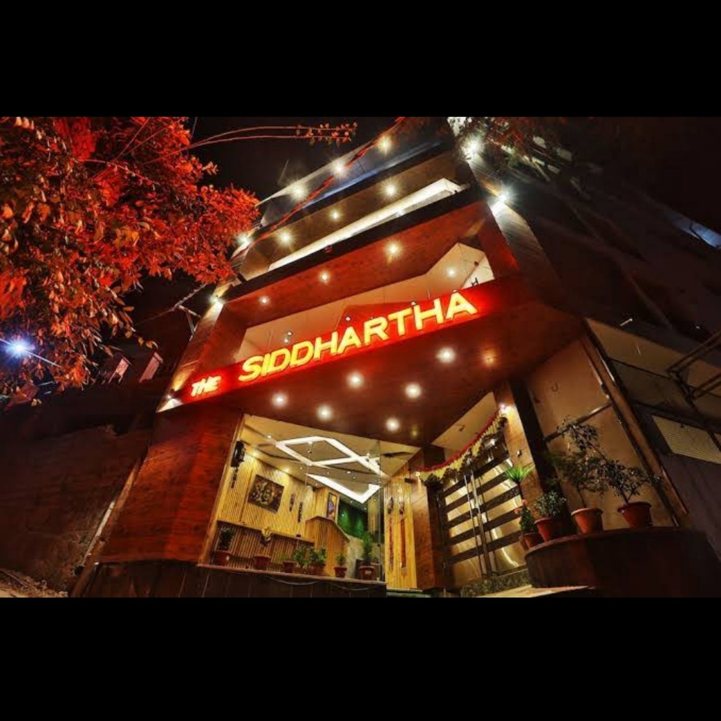 THE SIDDHARTHA