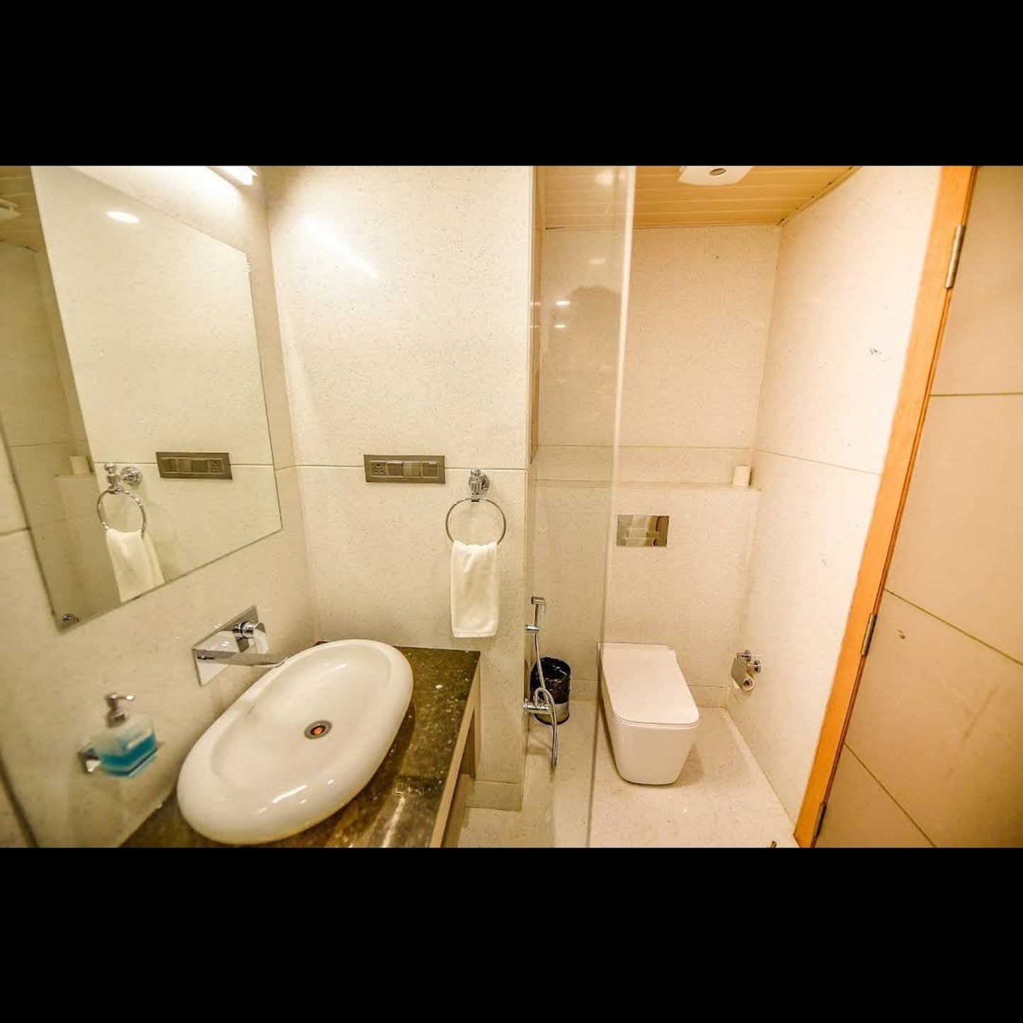 Hotel Palash Regency Udaipur