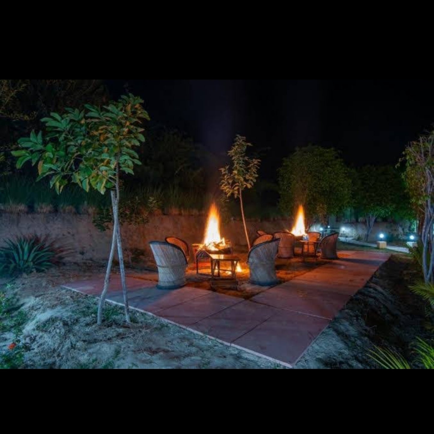 Jungle Cave Resort Udaipur