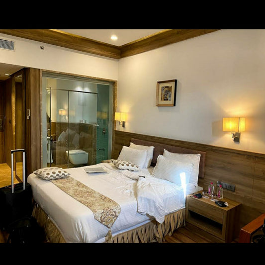 BluFeather Hotel _ Spa_Udaipur