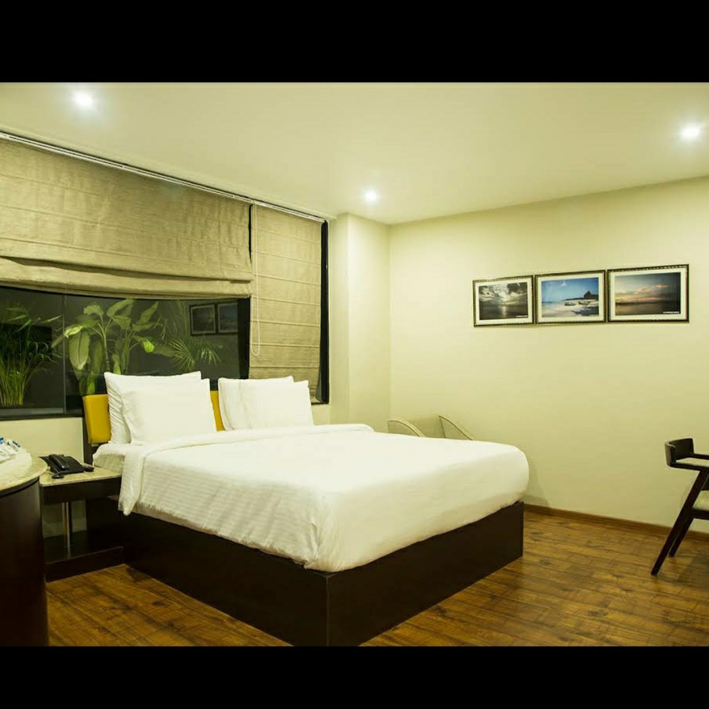 SeaShell Coral Cove_Andaman _ Nicobar