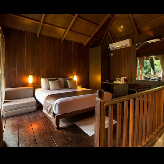 SeaShell, Havelock_Andaman _ Nicobar