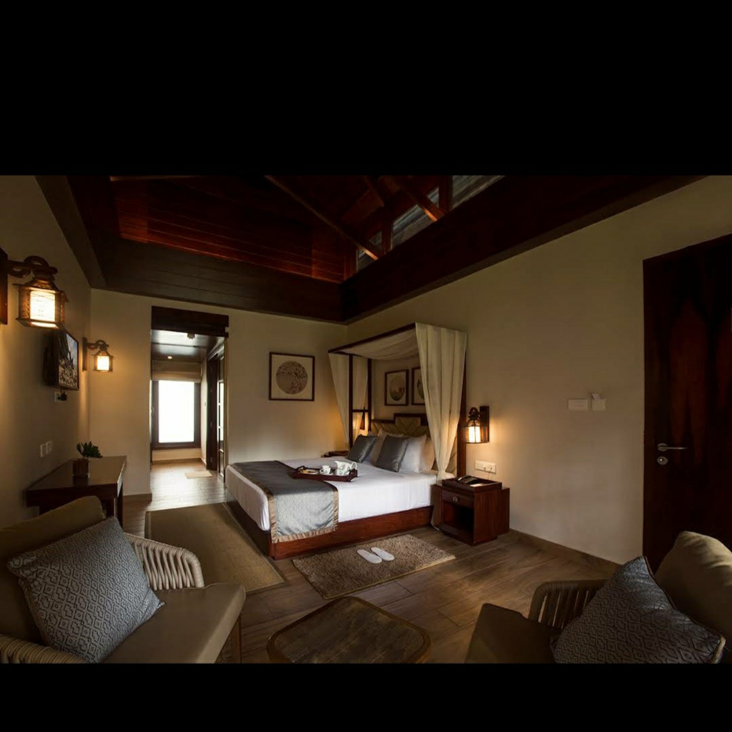 SeaShell, Havelock_Andaman _ Nicobar