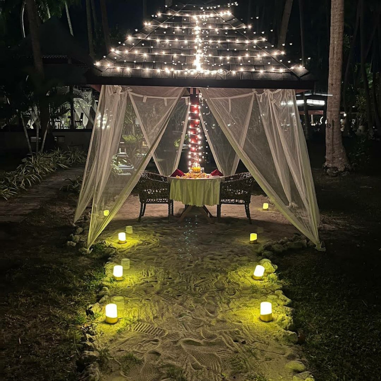 SeaShell, Havelock_Andaman _ Nicobar