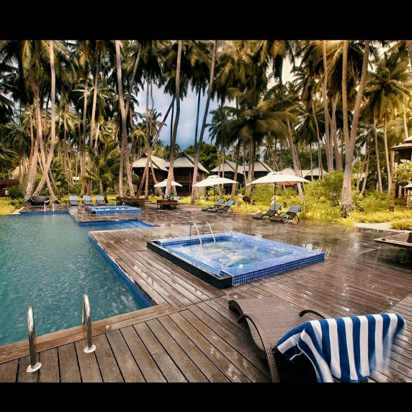 SeaShell, Havelock_Andaman _ Nicobar