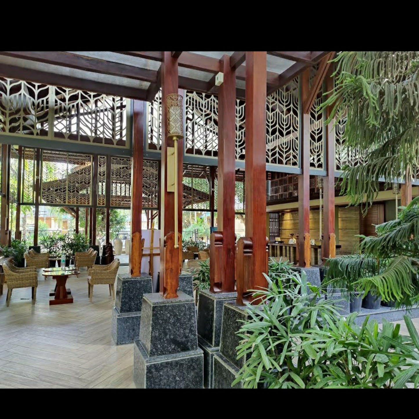 SeaShell, Havelock_Andaman _ Nicobar