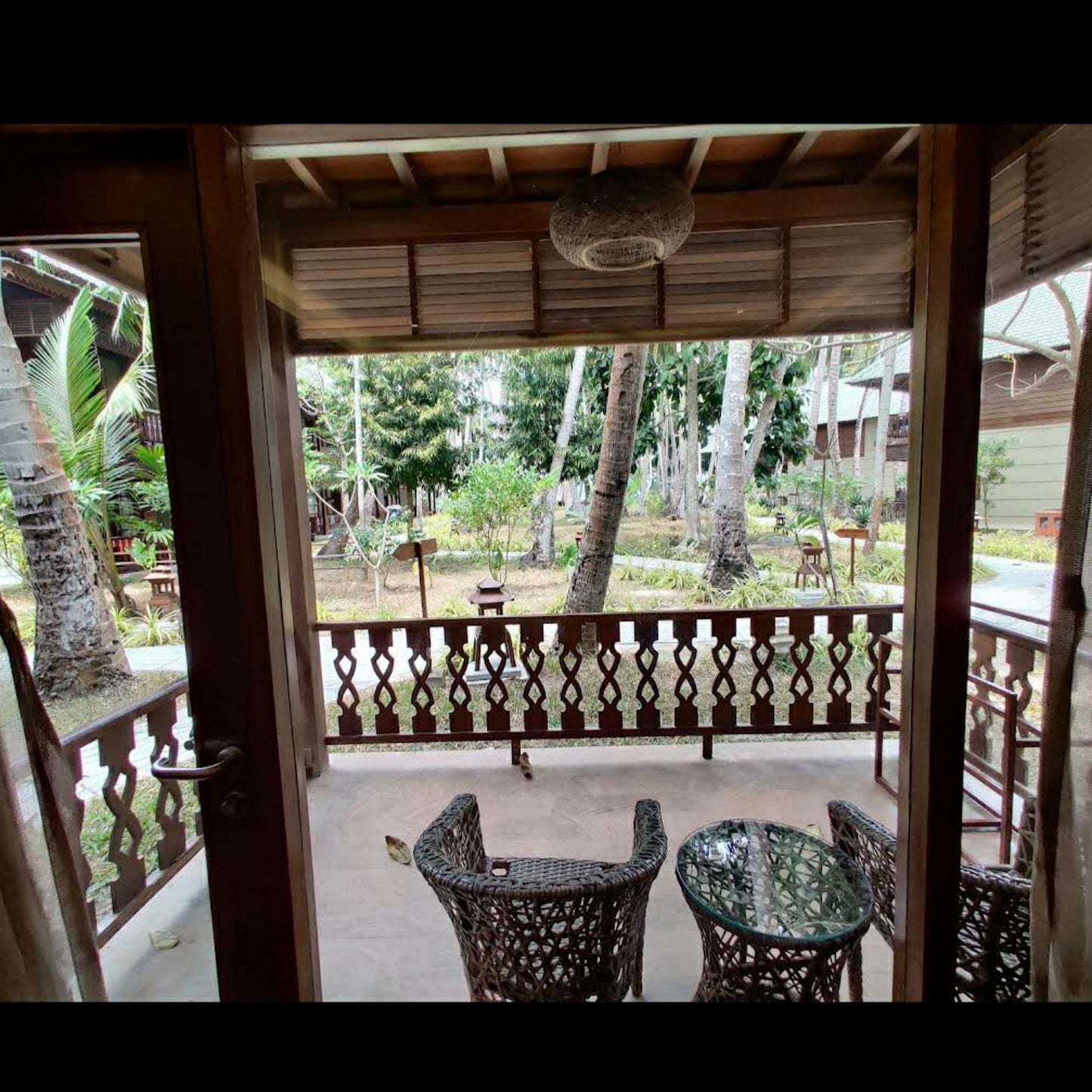 SeaShell, Havelock_Andaman _ Nicobar