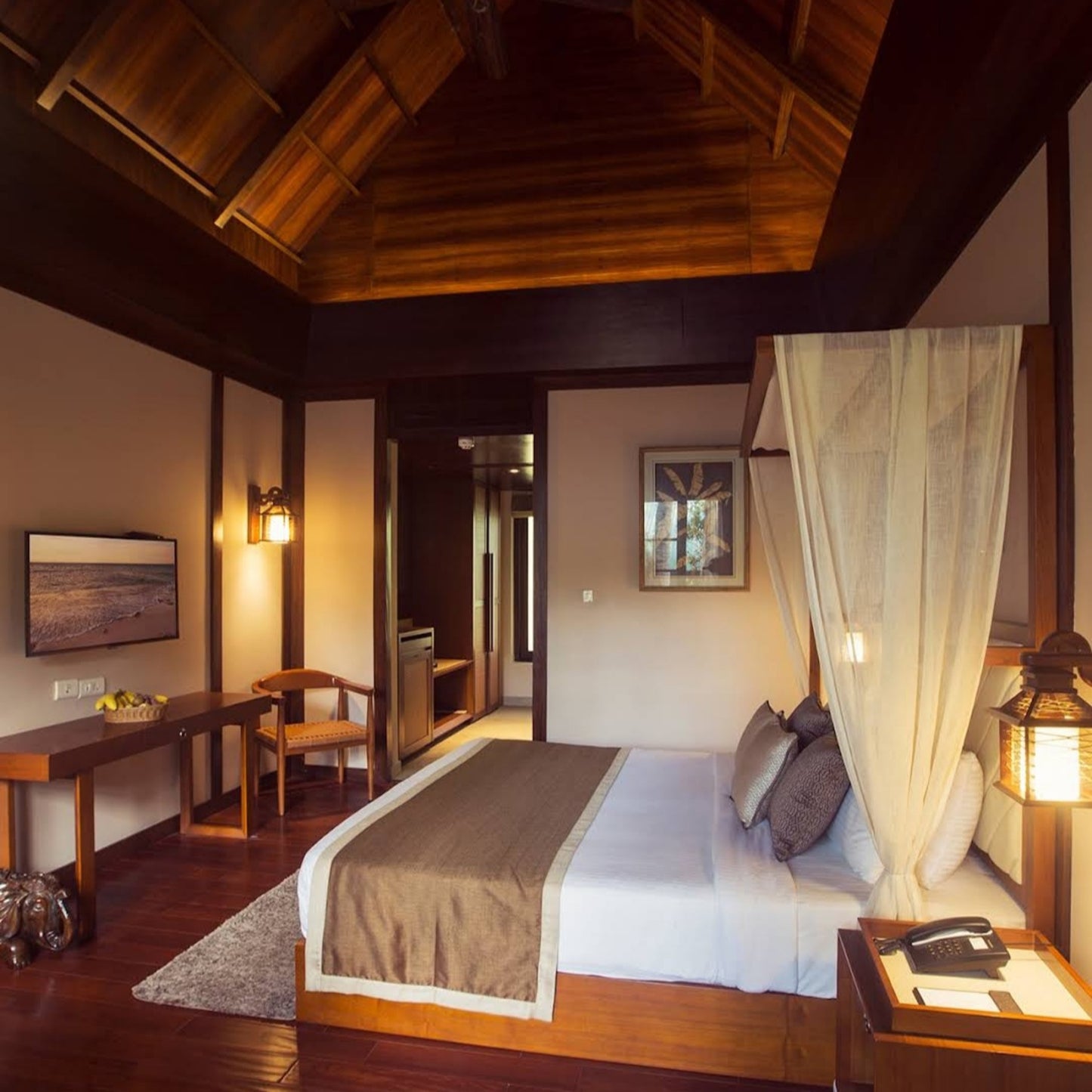 SeaShell, Neil_Andaman _ Nicobar