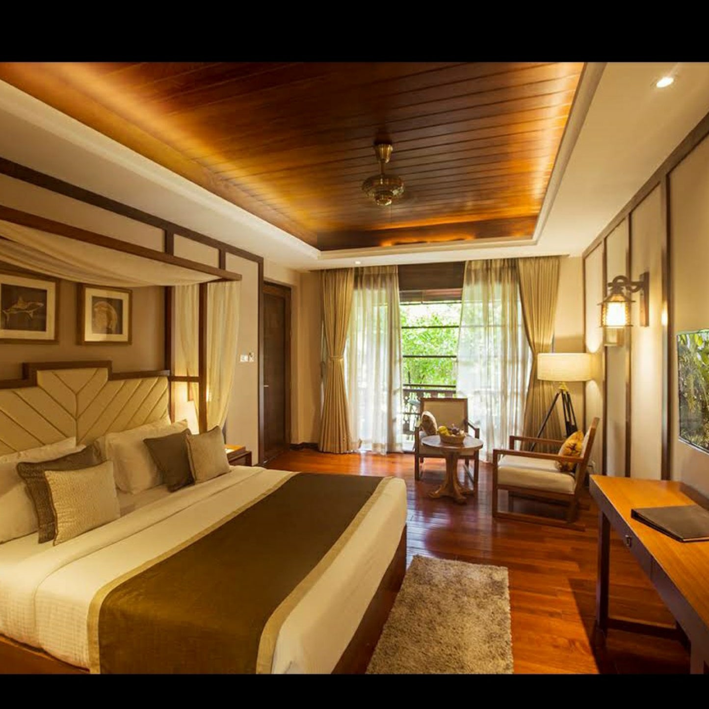 SeaShell, Neil_Andaman _ Nicobar