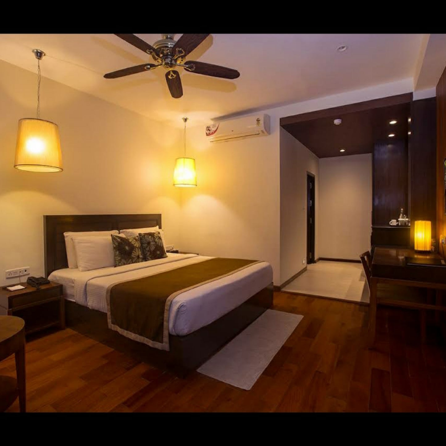 SeaShell, Neil_Andaman _ Nicobar