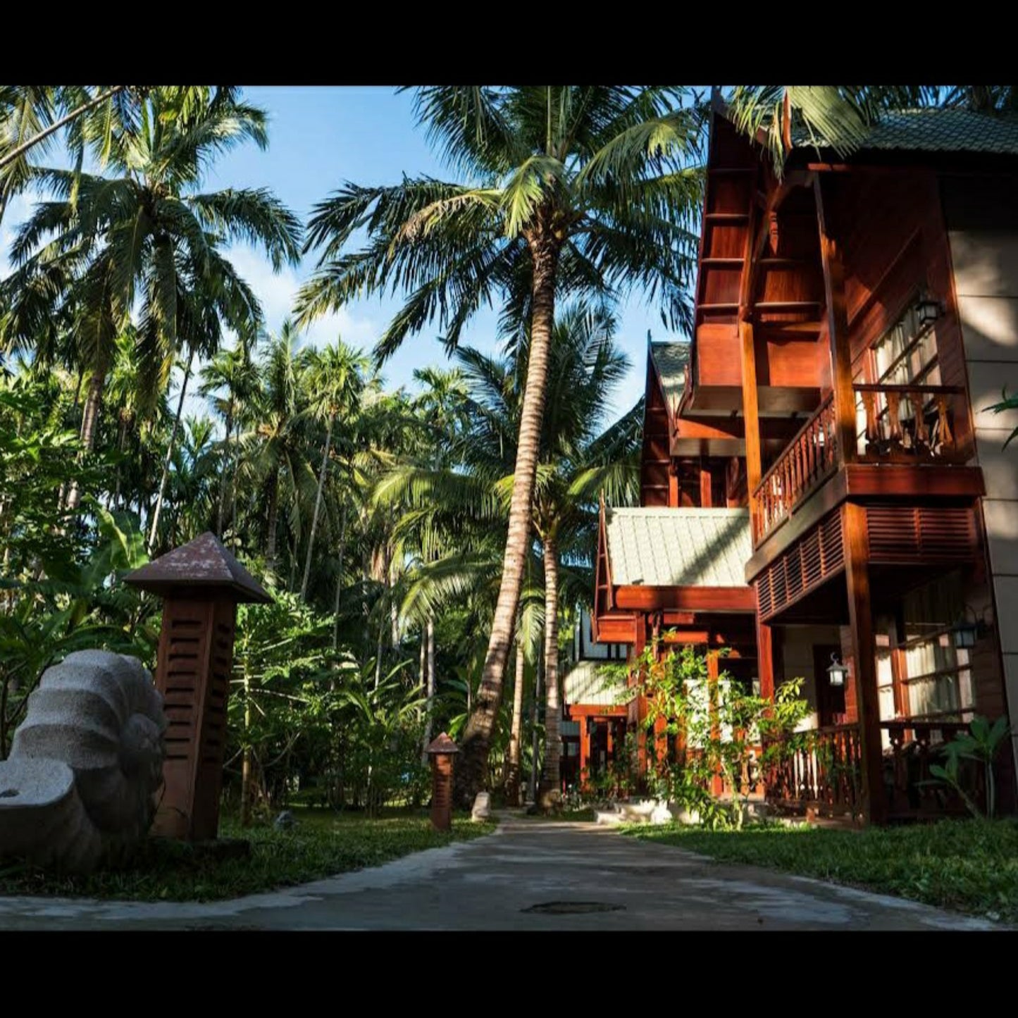 SeaShell, Neil_Andaman _ Nicobar