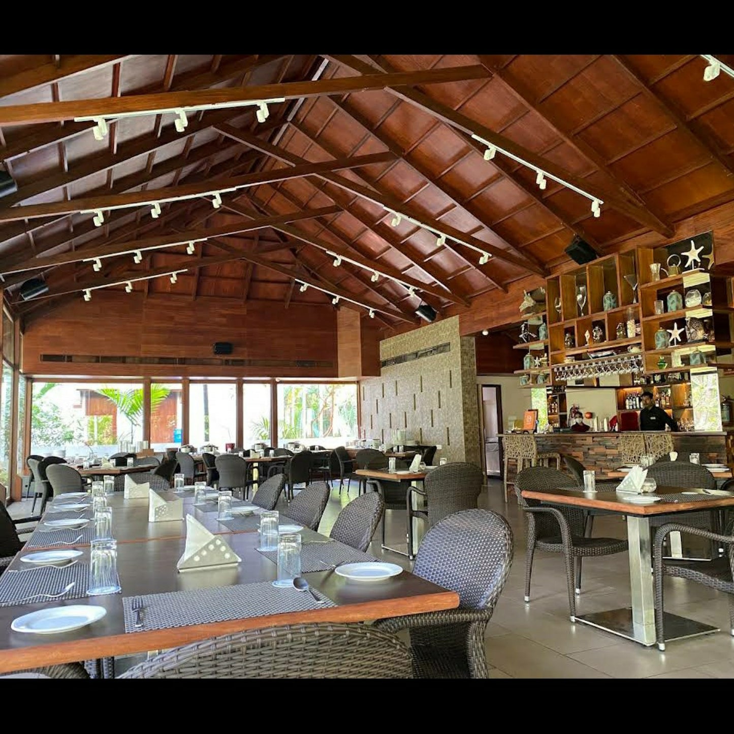 SeaShell, Neil_Andaman _ Nicobar