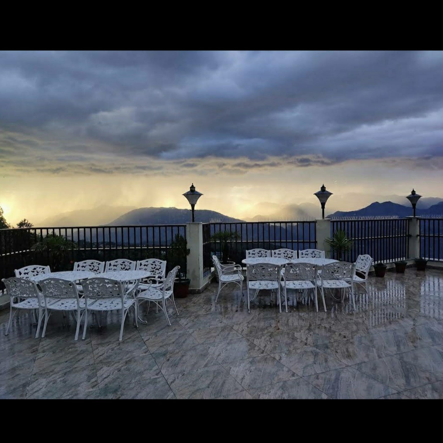 JK Clarks Exotica_Dalhousie