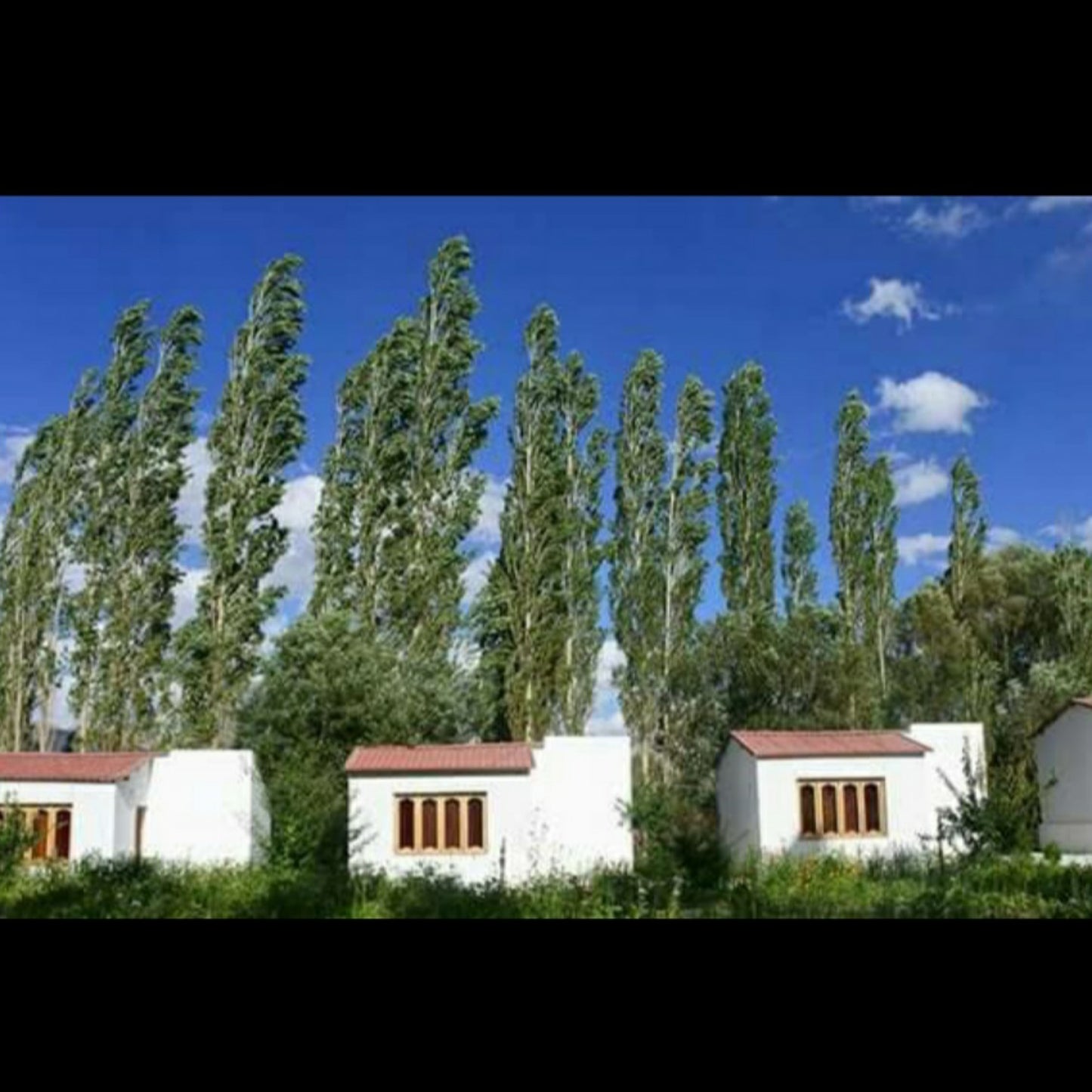 Himalayan Eco Resort, Hunder Nubra