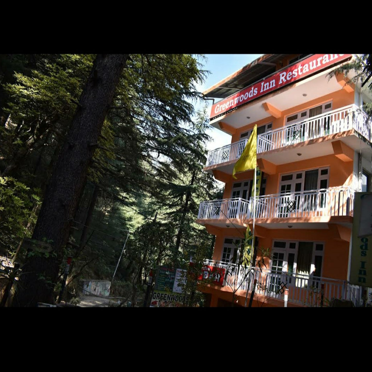 Greenwoods Inn BAR _ Restaurant_Dharamshala