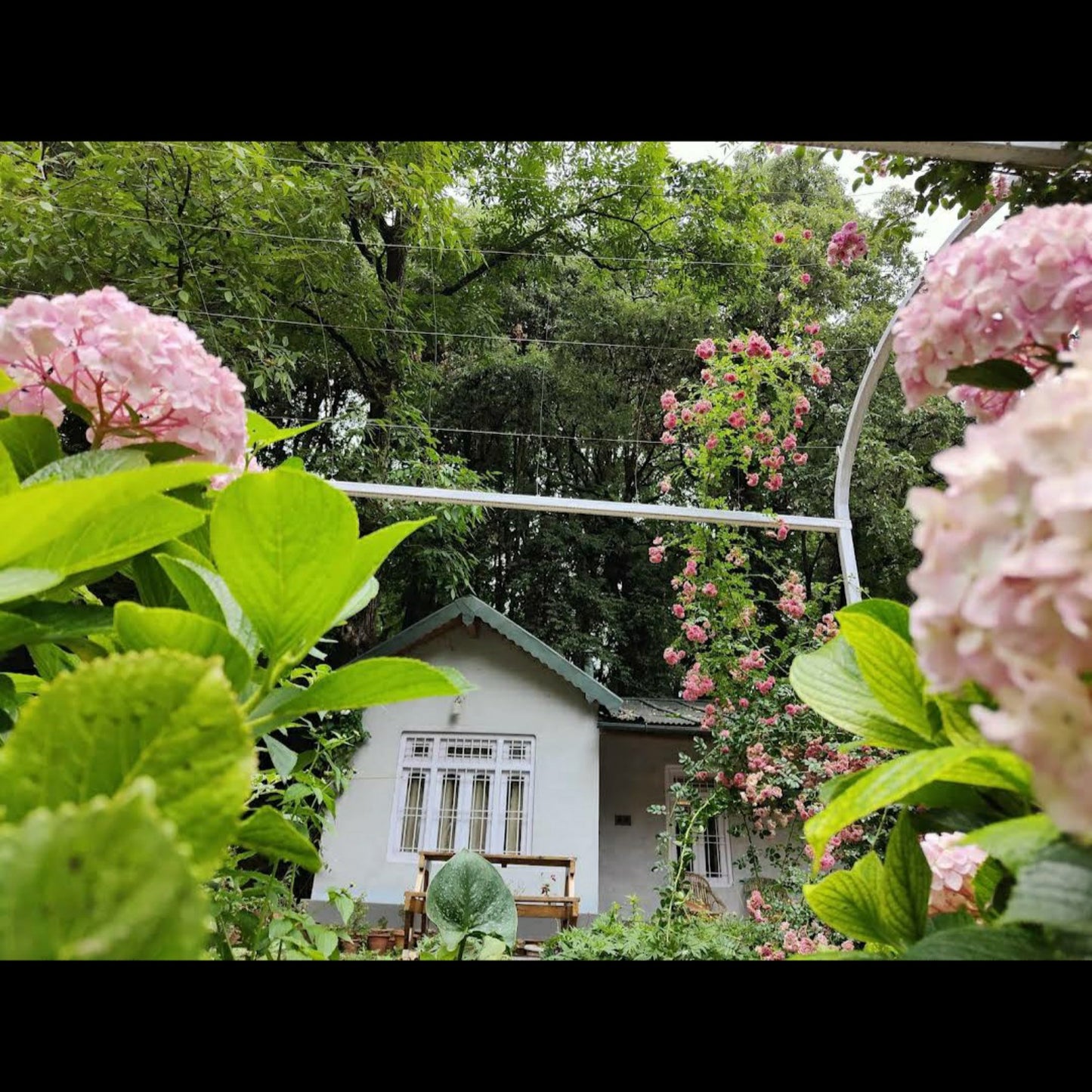 NS Stay Native Hutton Cottage_ Nainital