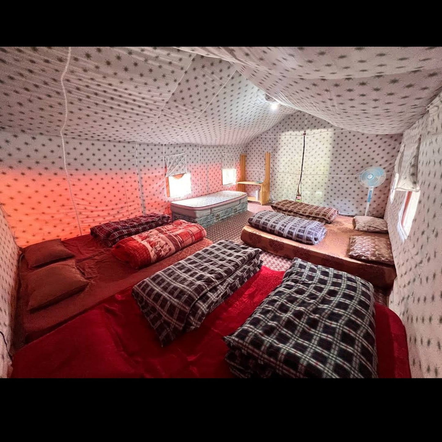 North Deodar Camps_Kasol