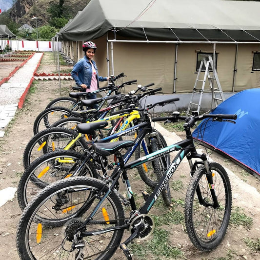 North Deodar Camps_Kasol